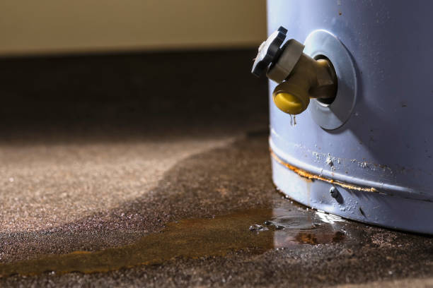 Water damage restoration mold remediation in Salisbury, MO