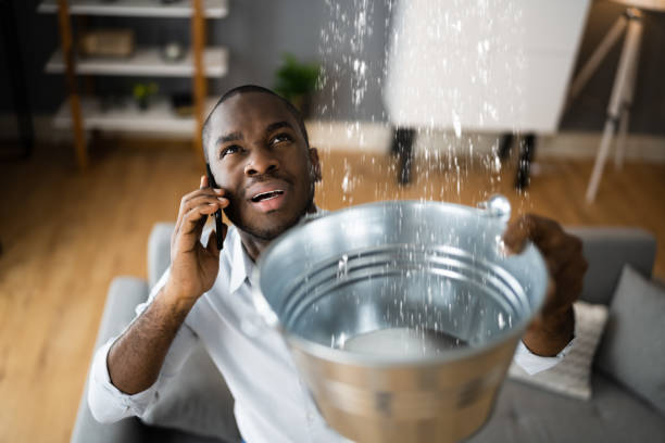Best Flooded house restoration  in Salisbury, MO