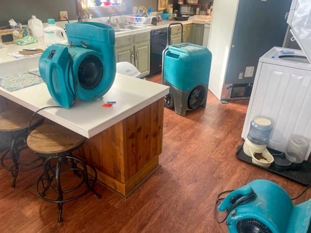 Best Water damage contractors near me  in Salisbury, MO