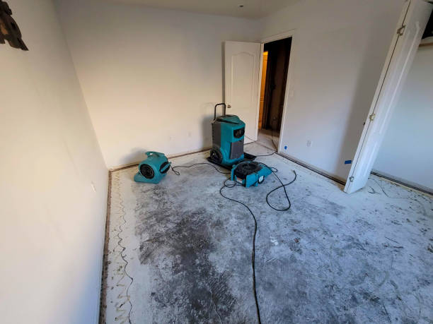 Best Water damage restoration near me  in Salisbury, MO