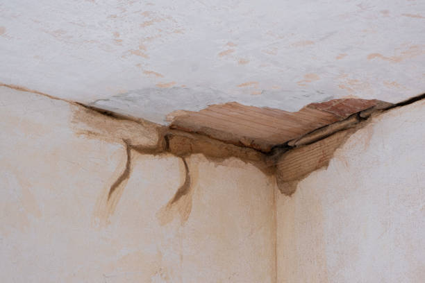 Best Local water damage restoration  in Salisbury, MO