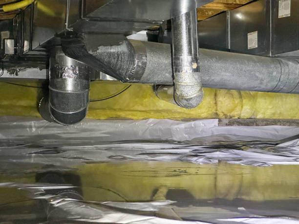 Best Residential water damage restoration  in Salisbury, MO