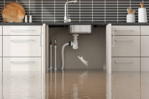 Best Water damage restoration services  in Salisbury, MO