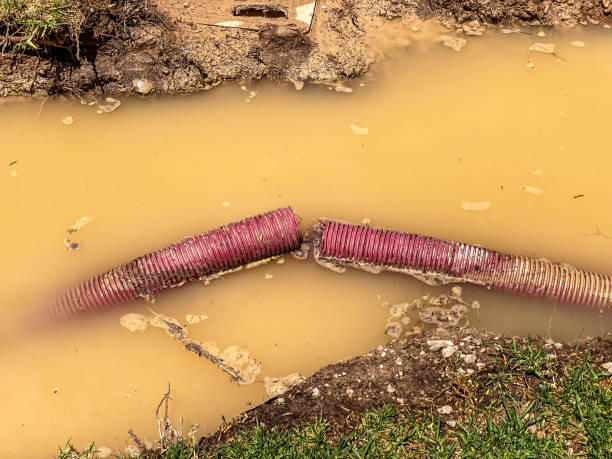 Best Professional water damage repair  in Salisbury, MO