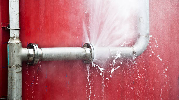 Best Basement water damage restoration  in Salisbury, MO